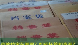 你的档案在哪里？如何托管和查询？