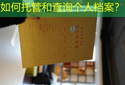 如何托管和查询个人档案？