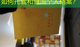如何托管和查询个人档案？