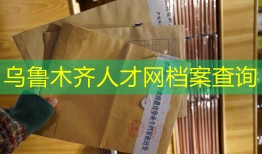 乌鲁木齐人才网档案查询