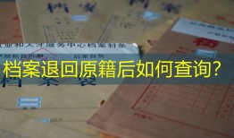 档案退回原籍后如何查询？