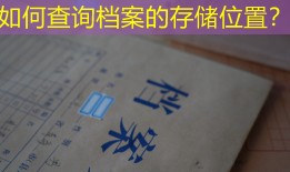 如何查询档案的存储位置？