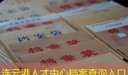 连云港人才中心档案查询入口