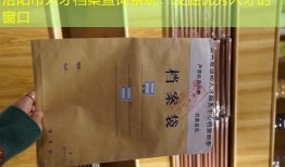 洛阳市人才档案查询系统：发掘优秀人才的窗口