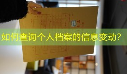 如何查询个人档案的信息变动？