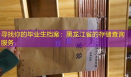 寻找你的毕业生档案：黑龙江省的存储查询服务