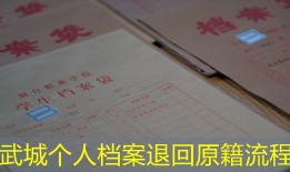武城个人档案退回原籍流程