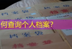 如何查询个人档案？
