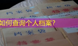 如何查询个人档案？