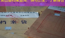 黑山县档案查询：探寻历史，了解身世