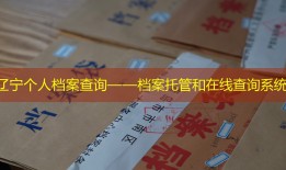 辽宁个人档案查询——档案托管和在线查询系统