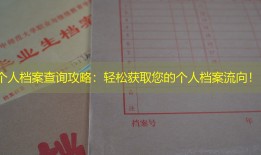 个人档案查询攻略：轻松获取您的个人档案流向！