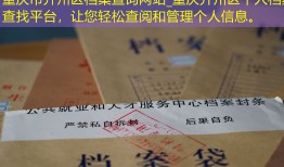 重庆市开州区档案查询网站_重庆开州区个人档案查找平台，让您轻松查阅和管理个人信息。