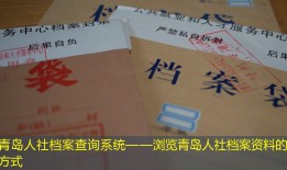 青岛人社档案查询系统——浏览青岛人社档案资料的新方式