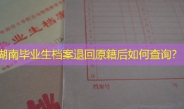 湖南毕业生档案退回原籍后如何查询？