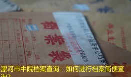 漯河市中院档案查询：如何进行档案简便查询？