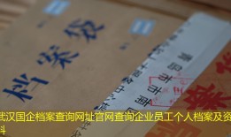 武汉国企档案查询网址官网查询企业员工个人档案及资料