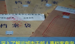 深入了解运城市干部人事档案查询