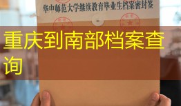 重庆到南部档案查询