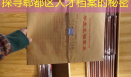 探寻郫都区人才档案的秘密