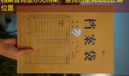 档案查询显示无档案，查找档案调动的正确位置