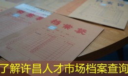 了解许昌人才市场档案查询