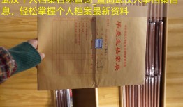 武汉个人档案名称查询_查询武汉人事档案信息，轻松掌握个人档案最新资料