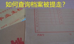 如何查询档案被提走？