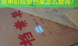 政审阶段查档案怎么查询？
