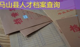 马山县人才档案查询