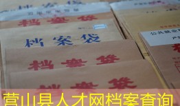 营山县人才网档案查询