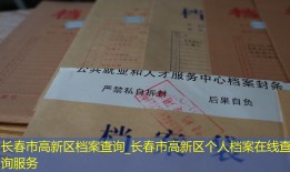 长春市高新区档案查询_长春市高新区个人档案在线查询服务