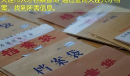 大连市人才档案查询_通过查询大连人才档案，找到所需信息。