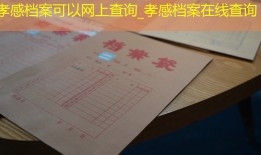 孝感档案可以网上查询_孝感档案在线查询