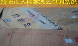 濮阳市人档案怎么查询系统