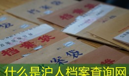 什么是沪人档案查询网