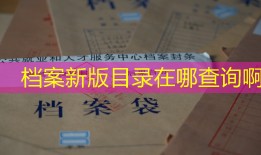 档案新版目录在哪查询啊
