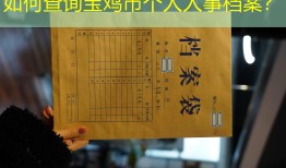 如何查询宝鸡市个人人事档案？