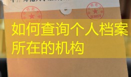 如何查询个人档案所在的机构