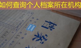 如何查询个人档案所在机构