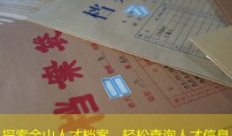 探索金山人才档案，轻松查询人才信息