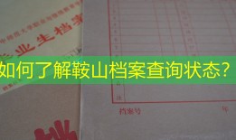 如何了解鞍山档案查询状态？