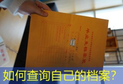 如何查询自己的档案？