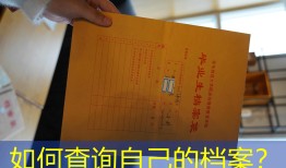如何查询自己的档案？
