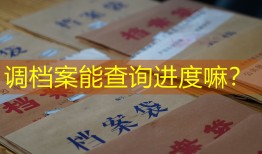 调档案能查询进度嘛？