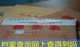 档案查询网上查得到吗