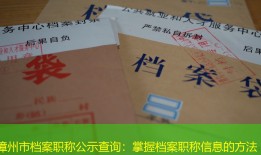 漳州市档案职称公示查询：掌握档案职称信息的方法