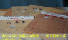 毕业大学生档案去向查询——追寻最新去向只需轻轻一点