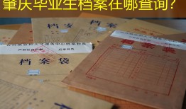 肇庆毕业生档案在哪查询？
