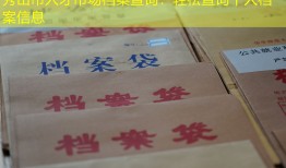 秀山市人才市场档案查询：轻松查询个人档案信息